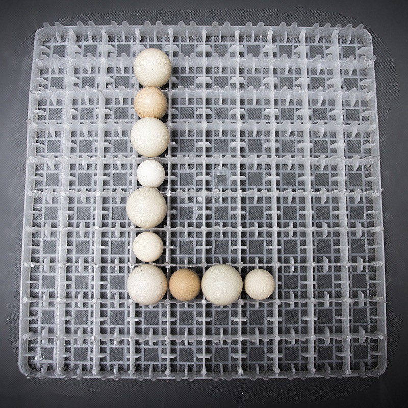 Máy ấp trứng Delta -H6 [600 trứng]