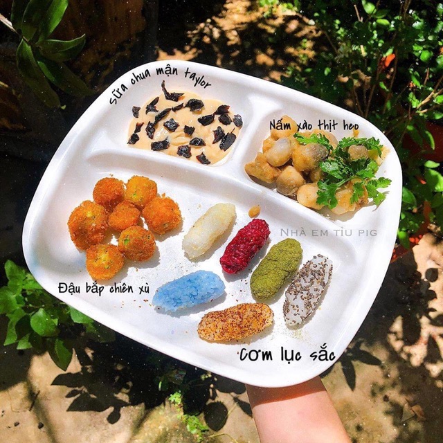 MẬN KHÔ TAYLOR  ĐẨY LÙI TÁO BÓN TỰ NHIÊN / ĂN VẶT MẸ BẦU / EATCLEAN / KETO / HEALTHY | BigBuy360 - bigbuy360.vn