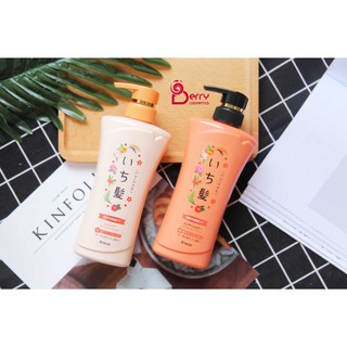 Cặp dầu gội và dầu xả Ichikami