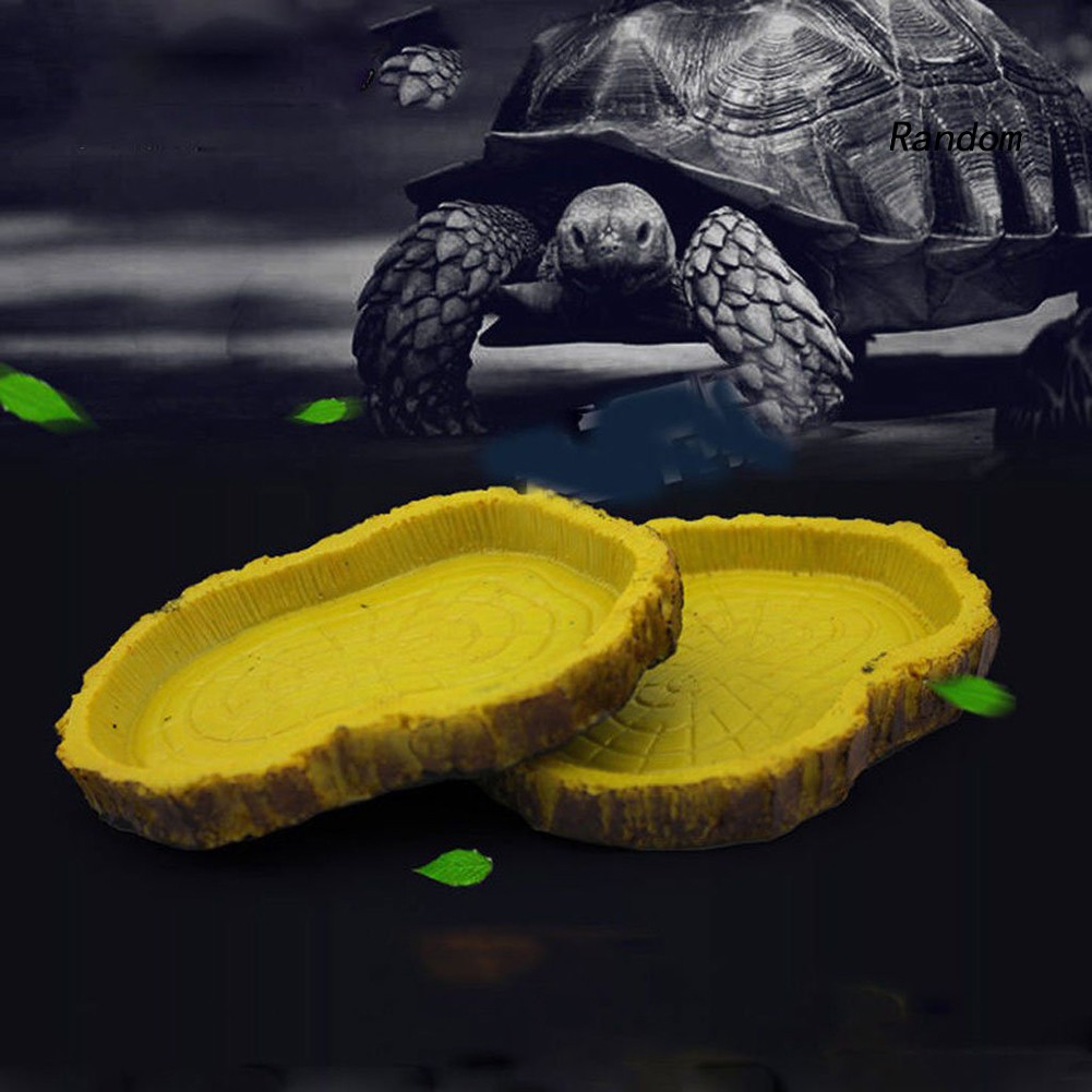 Khay Đựng Thức Ăn Cho Thú Cưng Bò Sát