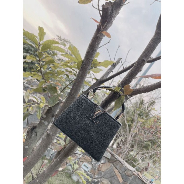 Túi xách nữ thời trang công sở Eo vì Capu mini sz20cm siêu xinh fullbox