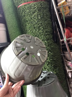 Combo 50  Chậu trồng cây 28*16