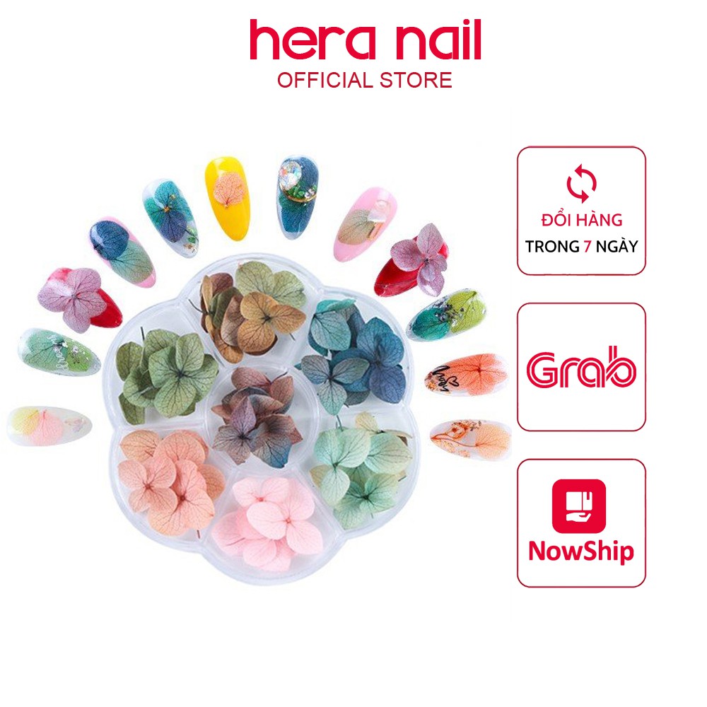 Hoa khô nail trang trí móng tay cánh to 7 màu