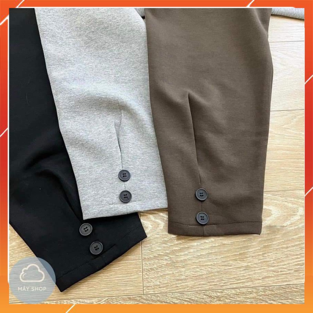 Quần baggy nữ ly gấu cực hot, quần baggy cạp chun, quần baggy nữ mẫu mới vải Umi Hàn dày mịn co giãn 4chiều đẹp XM THUVU