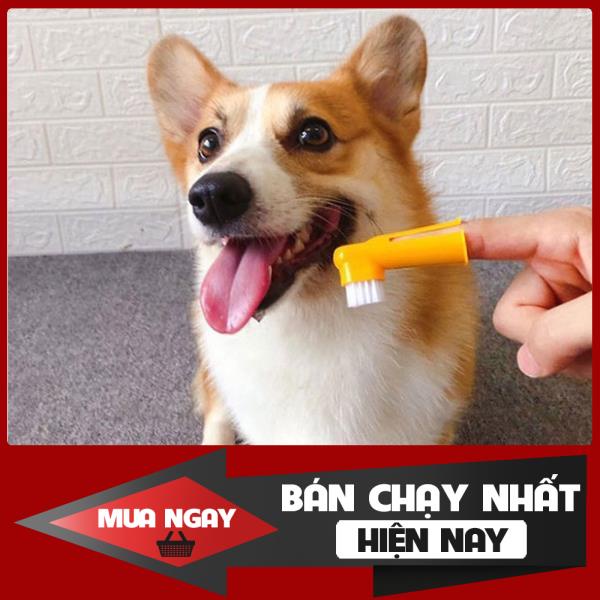 [❌GIÁ SỈ❌] [ RẺ VÔ ĐỊCH ] Bộ bàn chải kem đánh răng cho thú cưng thơm miệng chống sâu răng cao cấp ❤️