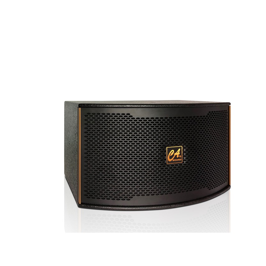 Bộ đôi 2 loa karaoke CAsound K310