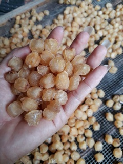 Long nhãn Hưng Yên