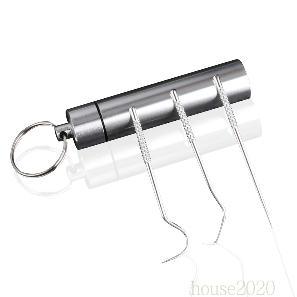Set 3 cây tăm xỉa răng bằng thép không gỉ có thể tái sử dụng kèm giá đỡ