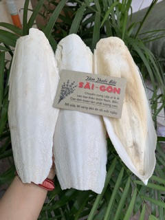 Mai Mực - Nang Mực 500GRAM