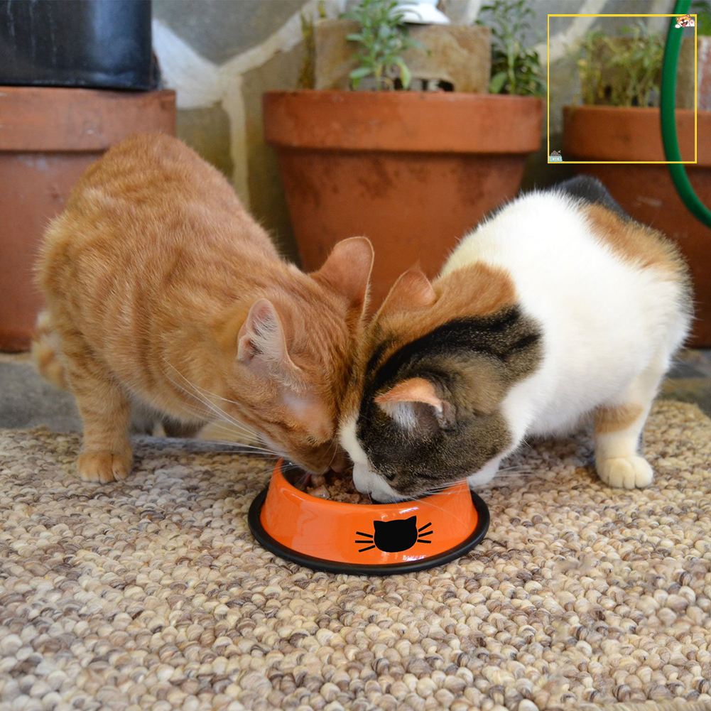 Tô Đựng Thức Ăn Cho Thú Cưng Chống Trượt Bằng Thép Không Gỉ