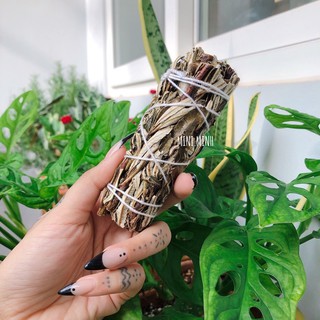 Thánh Thảo dược / Xô trắng thơm & Thánh thảo dược