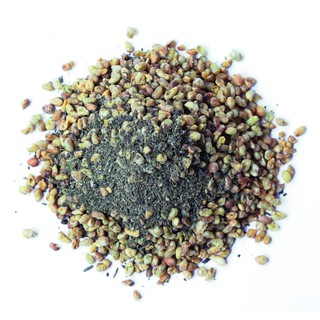 Trà Xanh Kiều Mạch Túi Lọc (Buckwheat Green Tea)