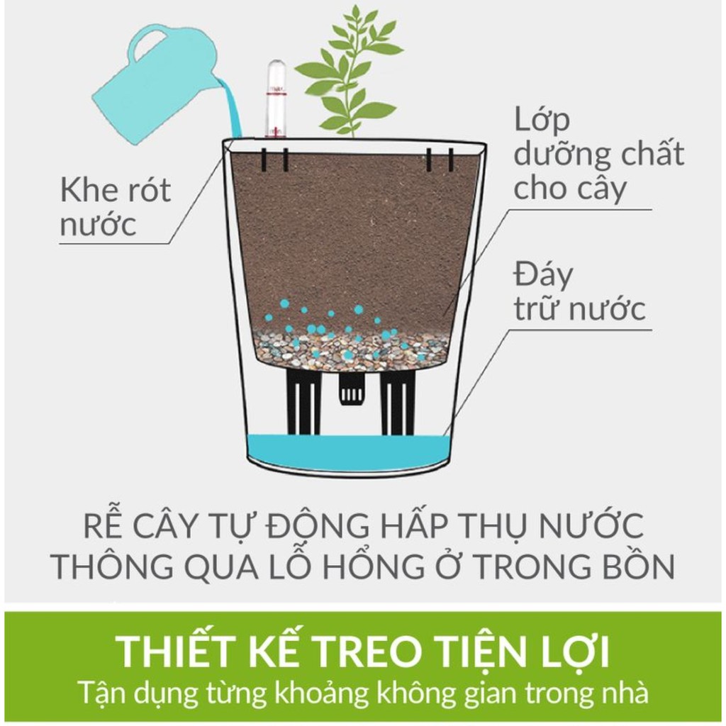 Chậu giỏ treo cao cấp + tự dưỡng thông minh Ma Belle 72616