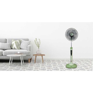 Quạt cây Benny BF42T Thái Lan(có romote)