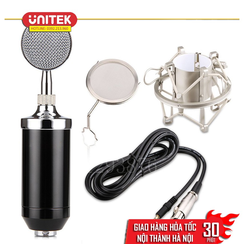 Micro hát Karaoke chuyên nghiệp BM-8000