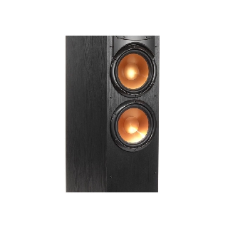 Loa Klipsch Synergy Black Label F200