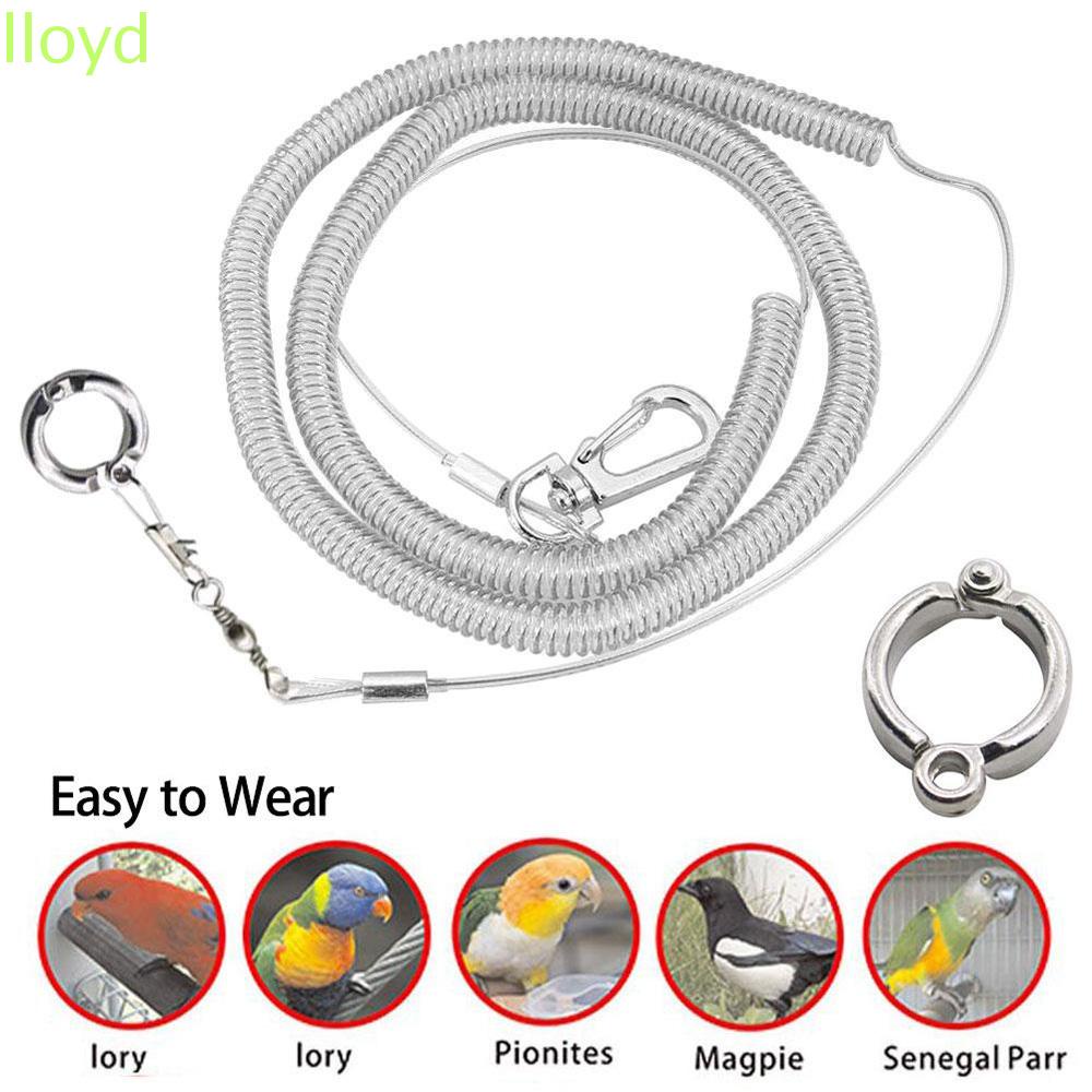 Dây dắt huấn luyện chim vẹt cầm tay chống cắn siêu nhẹ linh hoạt có vòng chân bằng nhựa dùng ngoài trời