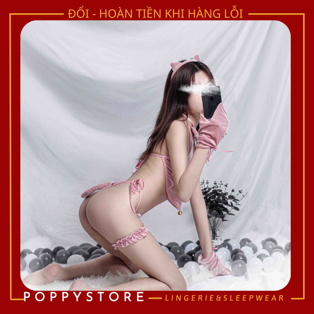 Full set Cosplay cô mèo cute gợi cảm chất liệu nhung kèm quần chip, ao yếm, đuôi mèo, cài tóc, bao tay / mua để nhận quà