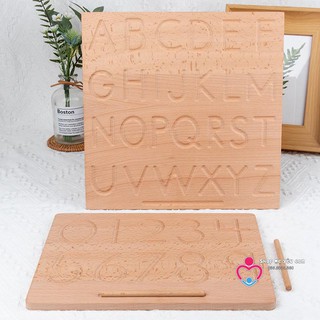 Bảng luyện viết nét cơ bản, nét số và chữ - Giáo cụ Montessori