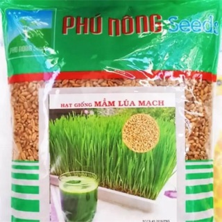 [1kg]Hạt giống mầm lúa mạch Phú Nông