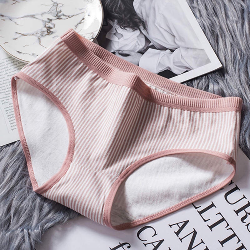 Bộ 5 Trong 1 Quần Lót Cotton Thời Trang Xinh Xắn Cho Nữ