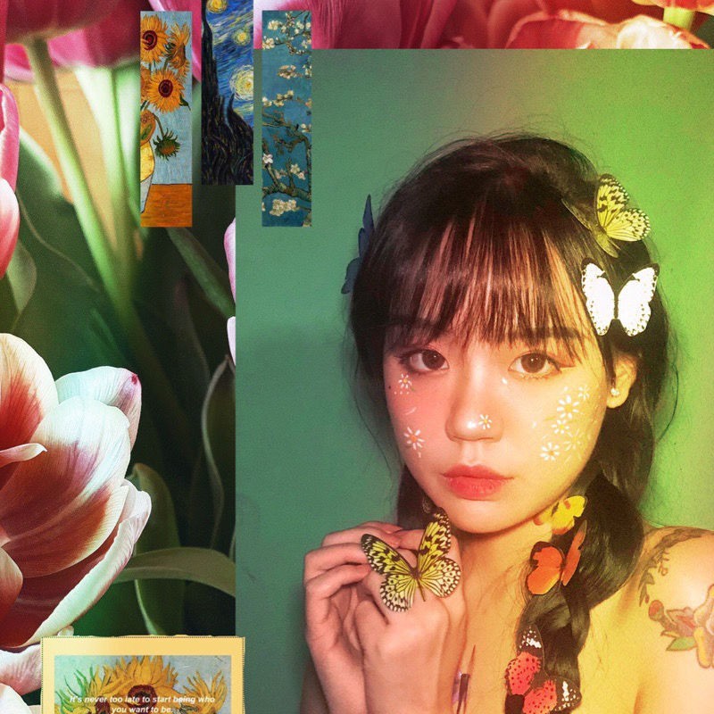 Set 12 Hình Bướm 3d Dán Tường Trang Trí Nội Thất