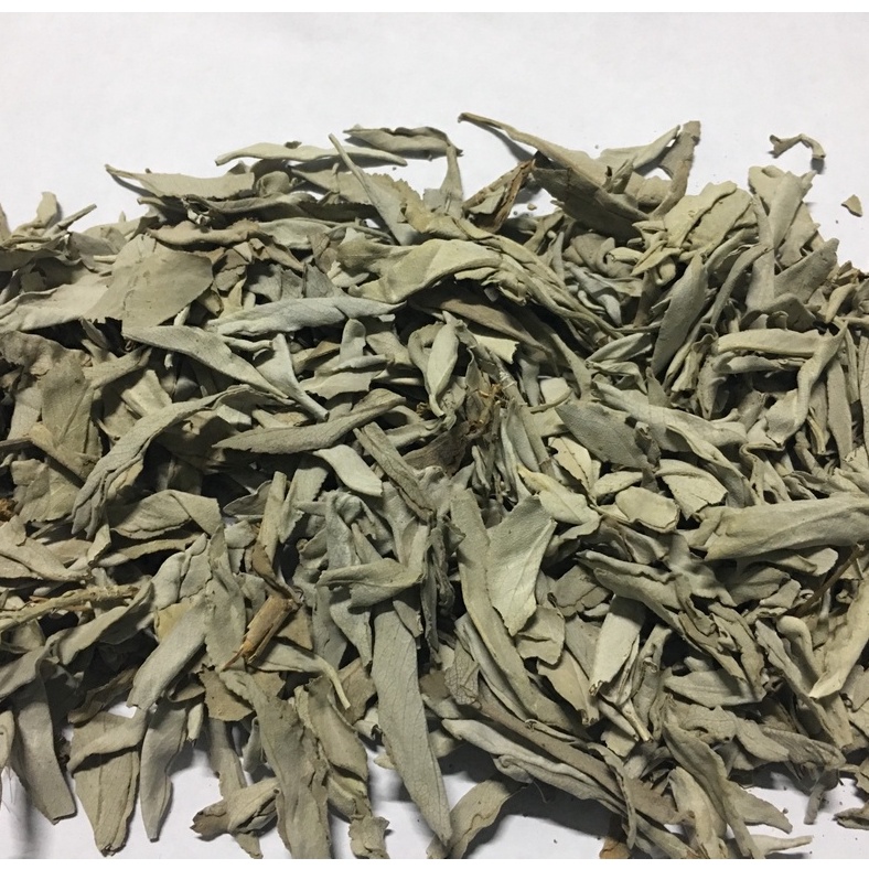 White Sage - Lá xô thơm trắng
