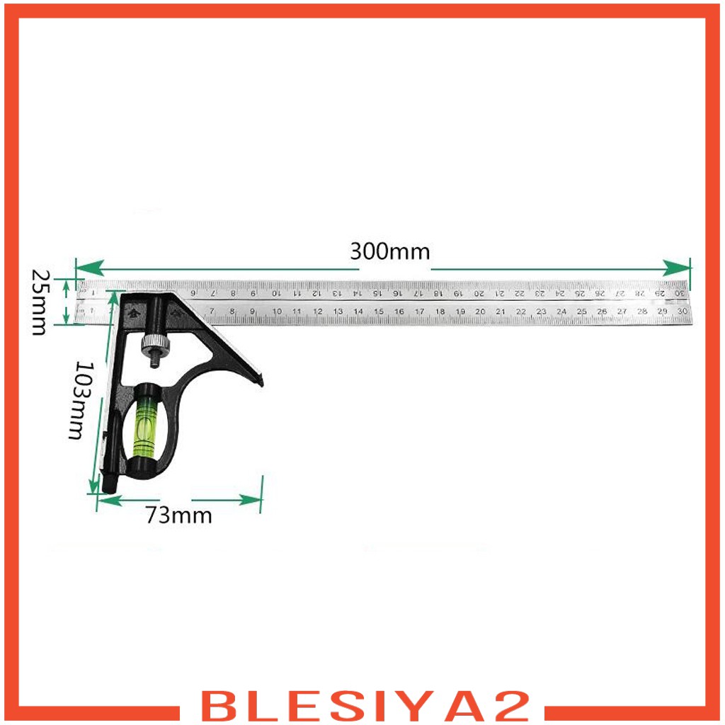 Thước Đo Kỹ Thuật Bằng Thép Không Gỉ 300mm 12 &quot;Blesiya2