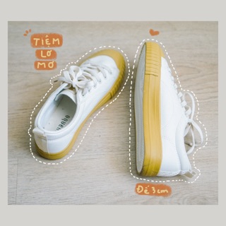 Giày Sneaker_2 màu
