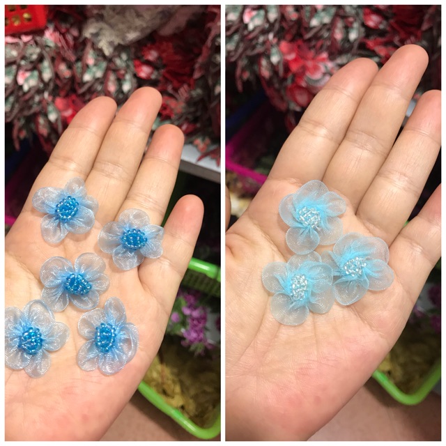 Hoa voan nhuỵ cườm