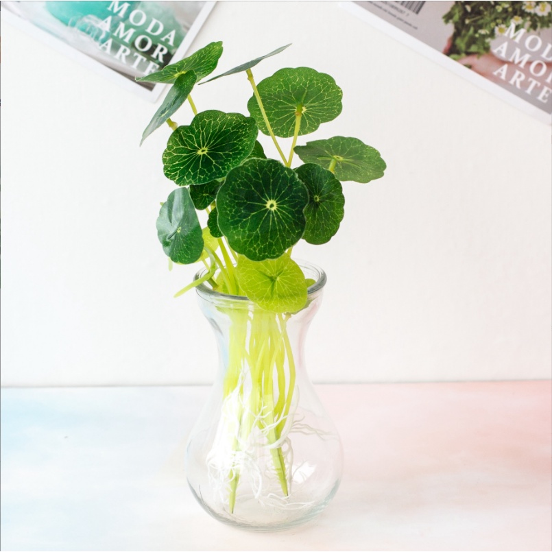 CÂY RAU MÁ NHẬT LÁ TRÒN - Cây cảnh giả dòng thủy sinh trang trí không gian nhà, sân vườn, quán cafe