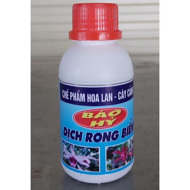 DỊCH RONG BIỂN - BÁO HỶ 100ml