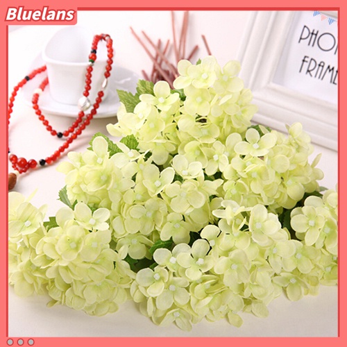 Hoa Cẩm Tú Cầu Nhân Tạo Dùng Trang Trí Nội Thất