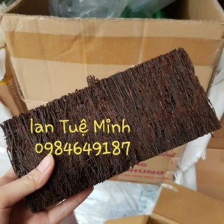 Bảng dớn giữ ẩm tốt trồng lan size 10x20x3cm