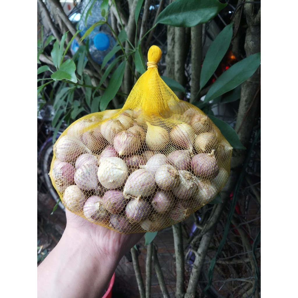 1kg tỏi cô đơn loại to đã nhặt sạch