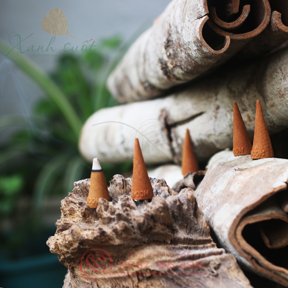 Nhang Quế Sạch- Sạch Không Đau Đầu, Thơm Ngọt Đặc Trưng, Làm Ấm, Tẩy Uế, Khử Ẩm-Thư Giãn-Cinnamon Bud