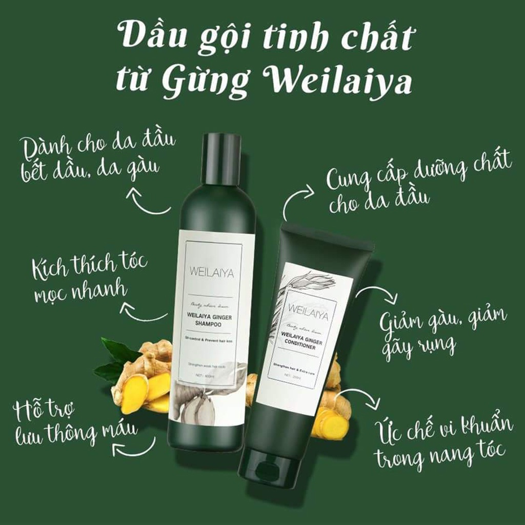 Cặp dầu gội xả gừng trắng kích mọc tóc WEILAIYA ginger, dành cho da đầu dầu