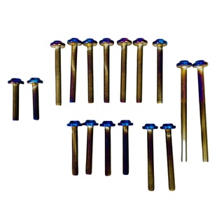 Bộ ốc lốc máy salaza 17 con cho sirius xăng cơ