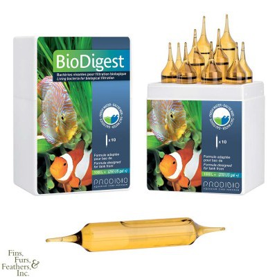 Prodibio BioDigest - Bổ sung vi sinh sống cho hồ cá nước mặn và nước ngọt (Đơn vị: ống)