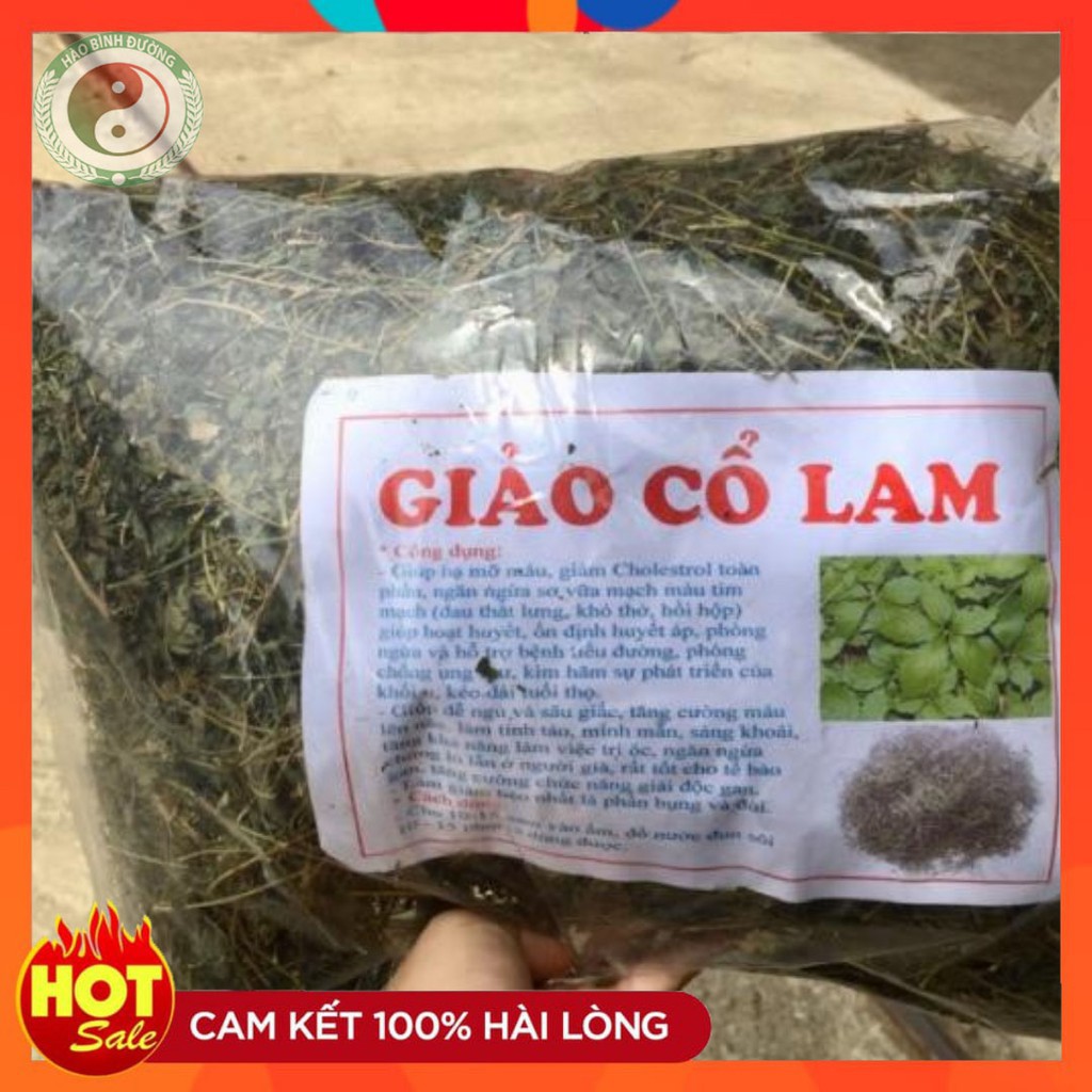 [Combo 3kg] Trà Giảo Cổ Lam 5 Lá Hòa Bình Giúp Cải Thiện Gan Nhiễm Mỡ - Bảo Vệ Gan