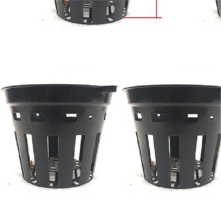 Chậu lan phi 12-combo 10 cái