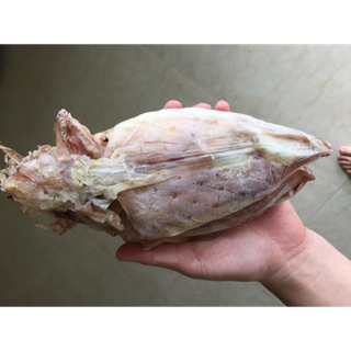 Mực câu xịn cô tô size 30 con/kg
