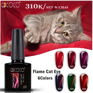 Set sơn mắt mèo