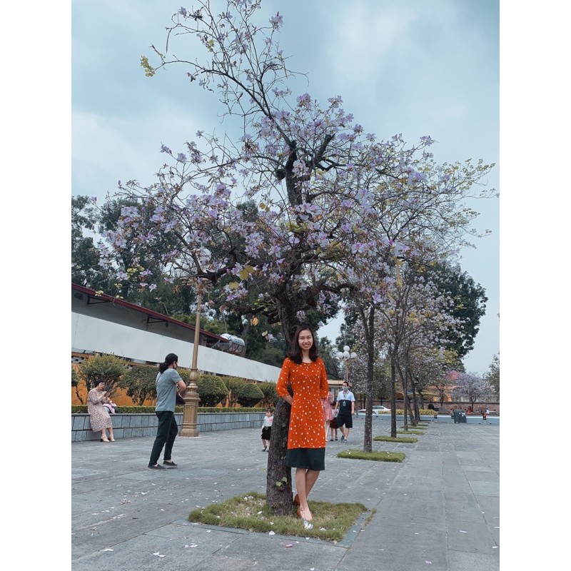 Set áo dài cách tân liền chân váy tằm cao cấp