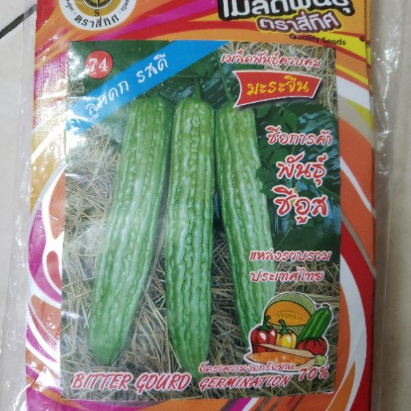 Hạt giống khổ qua khổng lồ (mướp đắng) Thái Lan