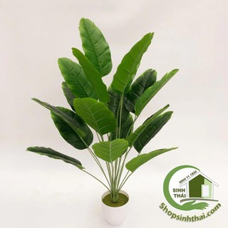 Bụi cây chuối màu xanh - bụi lớn cao 65cm - cây giả cao cấp