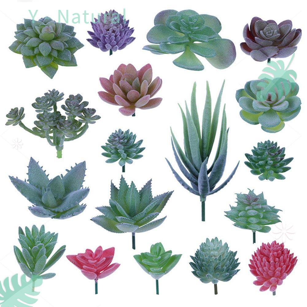 Cây Mọng Nước Nhân Tạo Dùng Trang Trí Phòng Khách / Phòng Ngủ