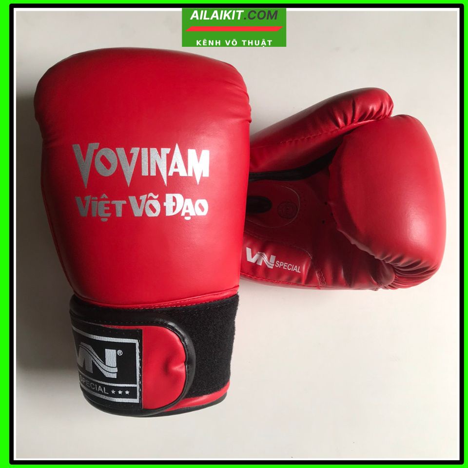 {Găng Vovinam Boxing Ruột Đúc ️ }🥊 Vovinam Cổ Truyền, Muay, Kickboxing Aitilait
