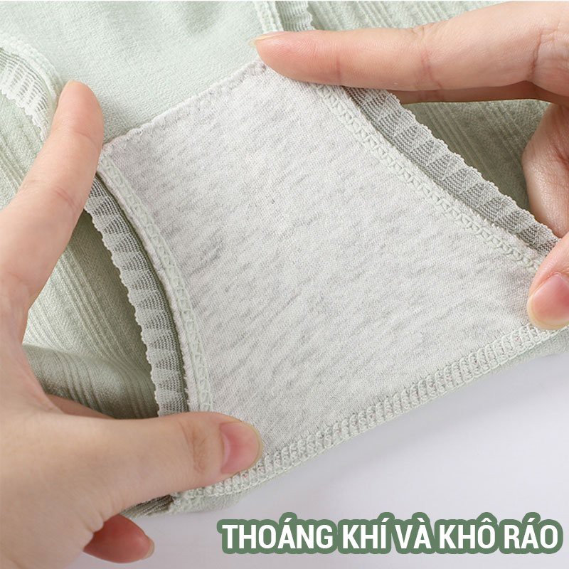 [HÀNG CÓ SẴN] Quần Lót Nữ Cotton Kháng Khuẩn Mềm Mại Tôn Dáng Sexy