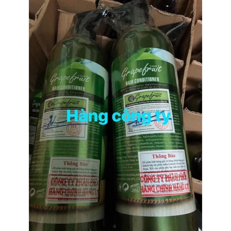 CHAI Dầu Gội Bưởi Ngăn Ngừa Rụng Tóc Phục Hồi Tóc Hư Tốn 850ML